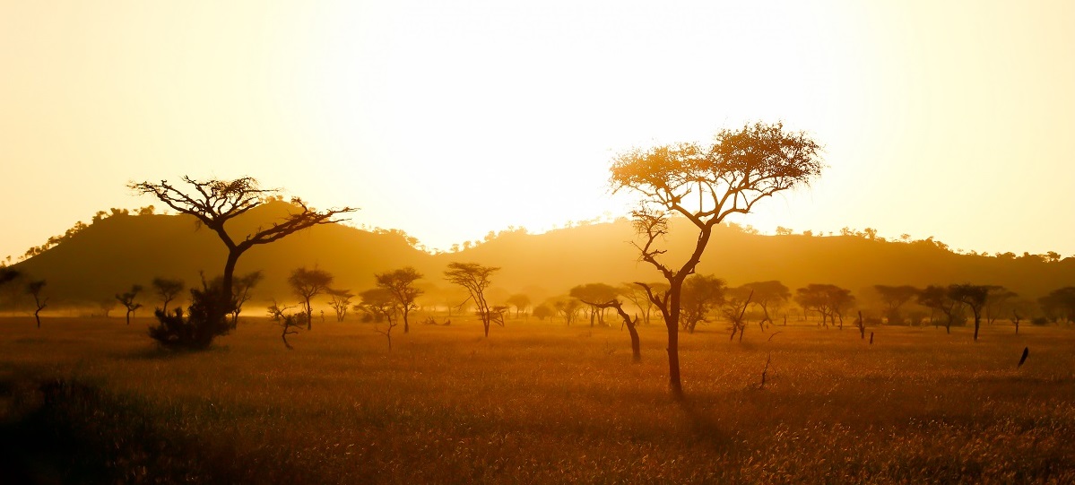 Connecting Africa Africa landscape