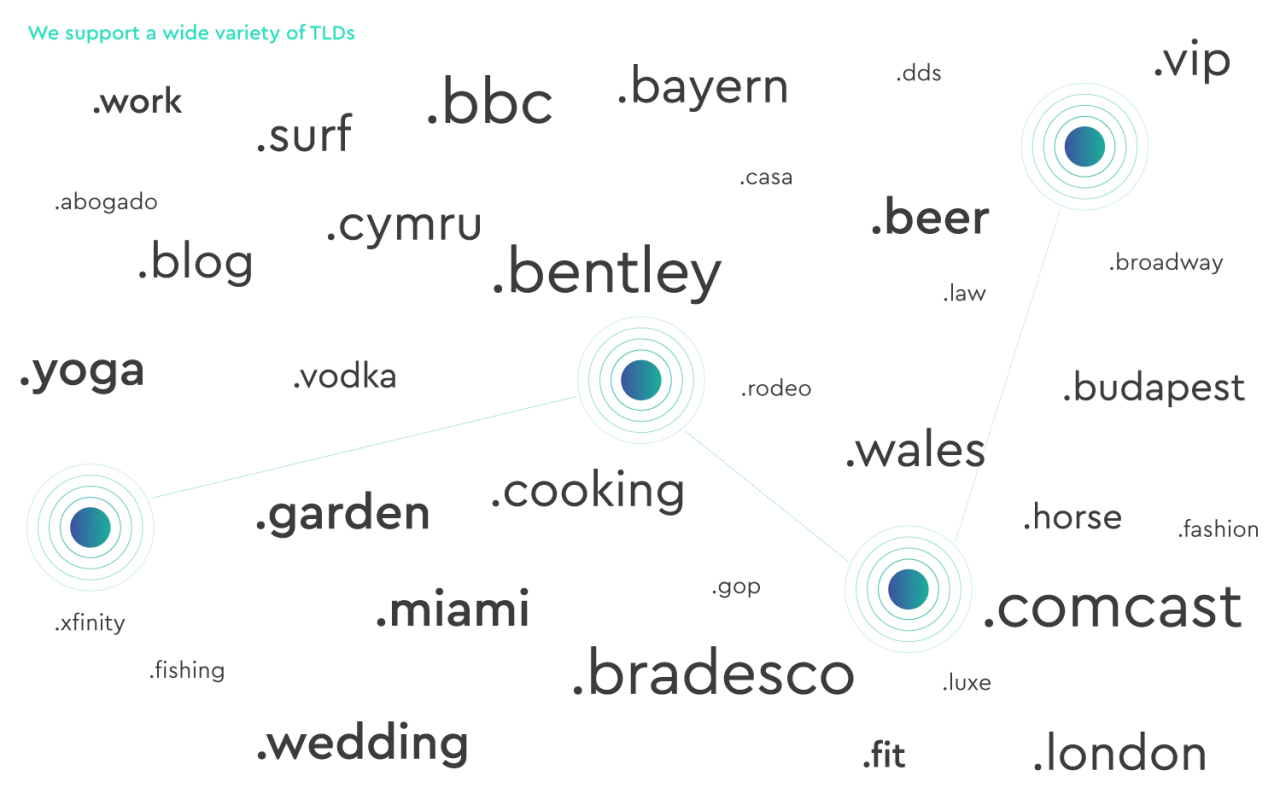 Wide variety of TLDs diagram showing examples of TLDs
