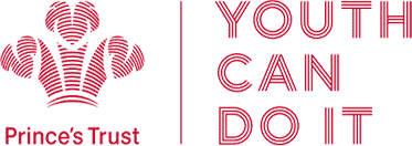 logo-youth The Princes Trust - You Can Do It