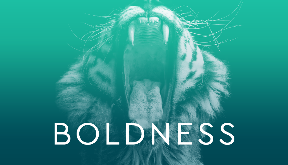 Boldness Image A lion roaring with mouth open wide