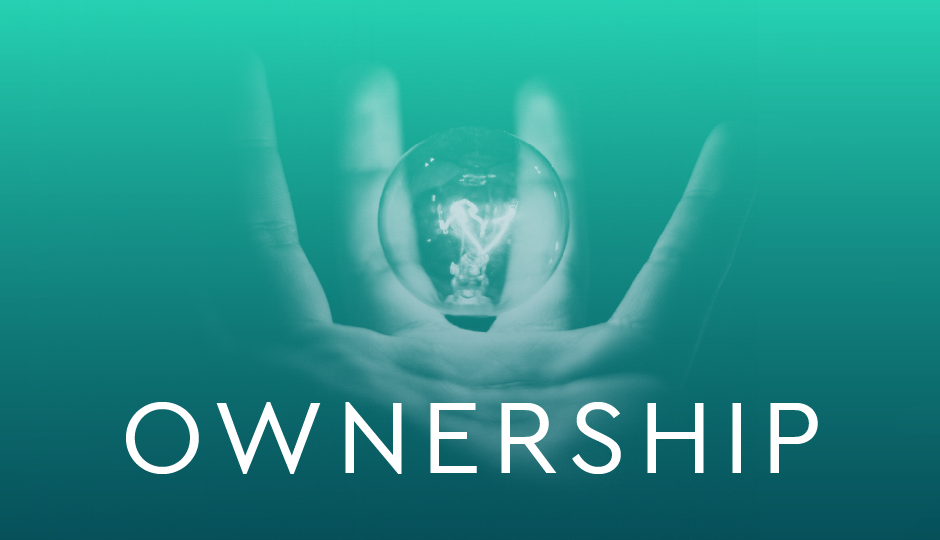 Ownership Image Hand holding a light bulb in a dark shadow